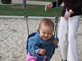 IMG_1481