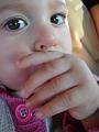 Edi120063_26