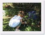IMG_1212 * 2816 x 2112 * (3.52MB)