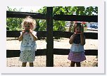 IMG_9440 * 3456 x 2304 * (3.92MB)