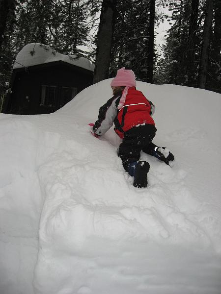 IMG_3135.JPG