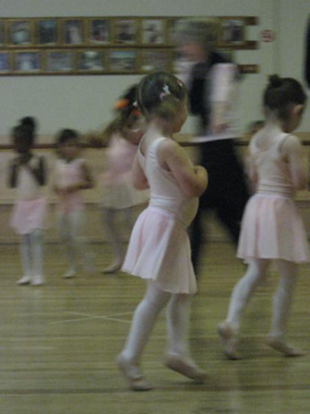 IMG_8265.JPG