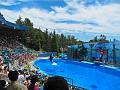20090619-IMG_0660