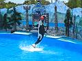 20090619-IMG_0678