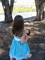 IMG_0174
