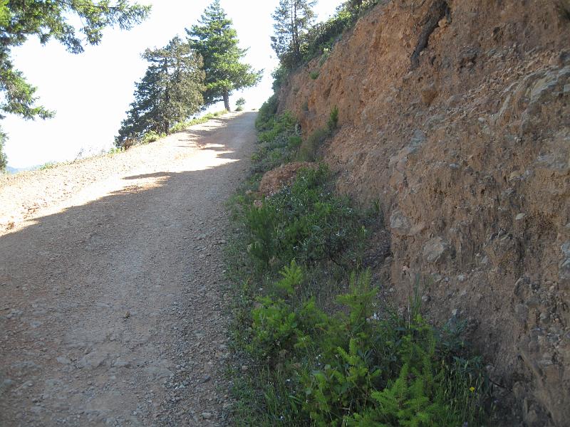IMG_4375.JPG - David's climb to the top of Mt. Tam.  Quite the challenging ride!