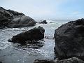 IMG_4519