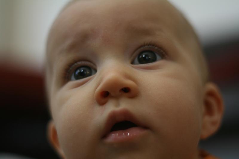 IMG_3162.JPG - Sabrina