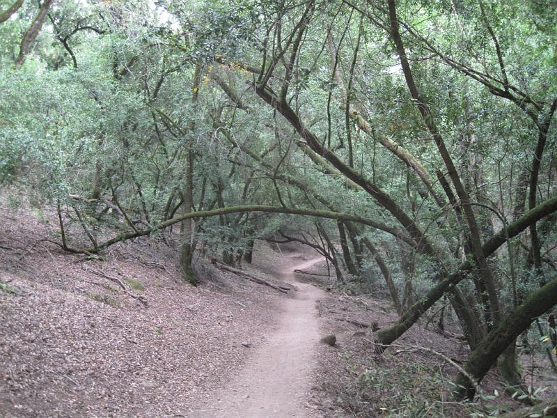 IMG_5781.JPG - Annandale Sonoma County Bike Trail
