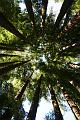 IMG_5953