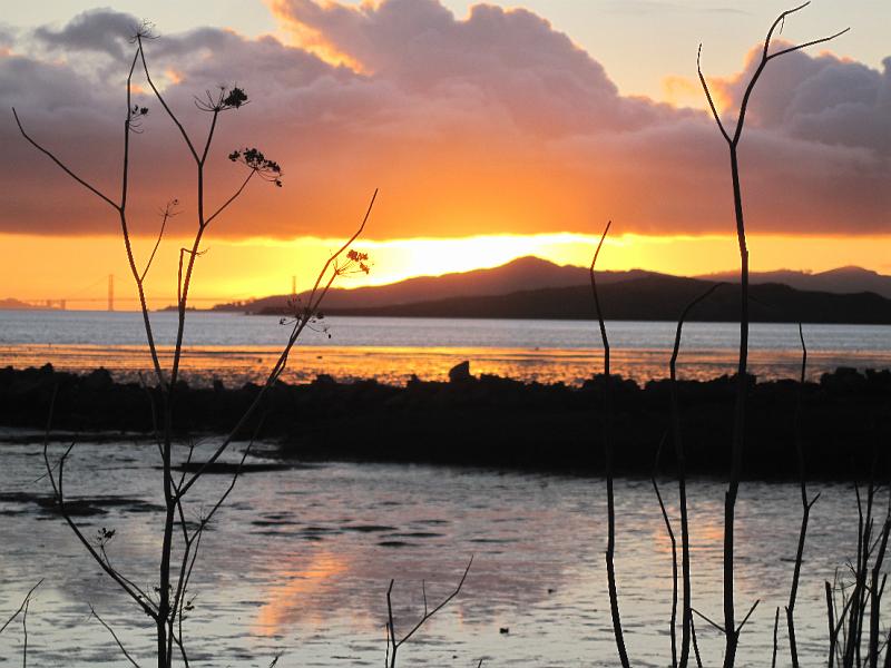 IMG_1080.JPG - Beautiful sunset in our backyard