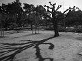 IMG_1574