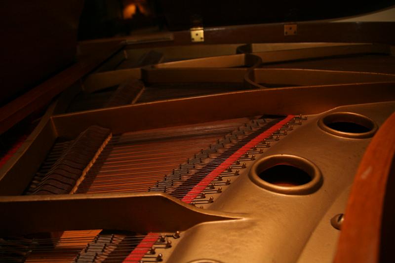 IMG_0065.JPG