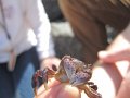 IMG_0826