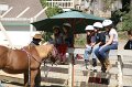 IMG_1360