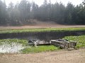 IMG_2958