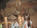 IMG_4041
