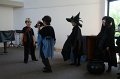 IMG_6344