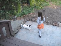 IMG 4970