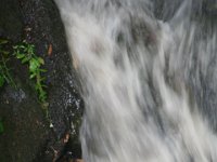 IMG 4257