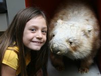 IMG 4316