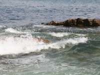IMG 4465