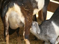 IMG 7955