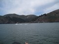 IMG_5517