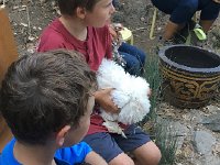 thumb IMG 2553 1024