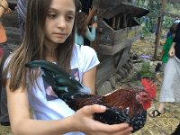 thumb IMG 2573 1024