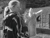 thumb IMG 2927 1024
